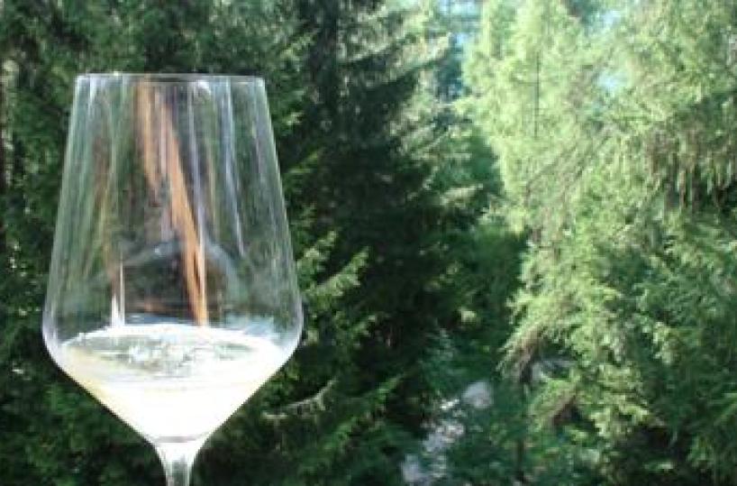Nel turismo enogastronomico sempre più richiesto il product manager