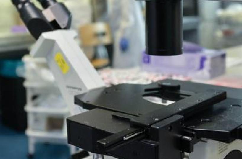 Sanità: in Usa +460% infezioni enterobatteri Ndm resistenti alle terapie