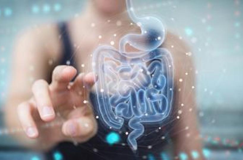 Medicina, scoperto perché asma e allergie alimentari cambiano, nascono da microbiota
