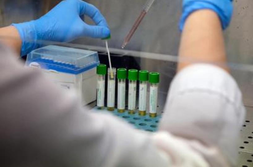 Medicina, italiani svelano errori nascosti nelle cellule: "Possibile ruolo in più malattie"