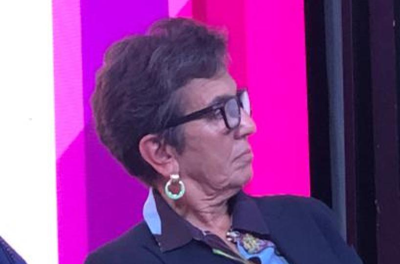 Energia, Bertini (Enea): "Efficienza e rinnovabili devono andare in parallelo"