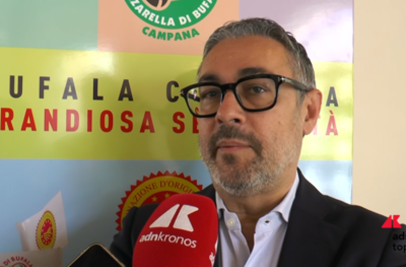 Pantini (Nomisma): "Mozzarella di bufala campana Dop conquista i consumatori Ue"