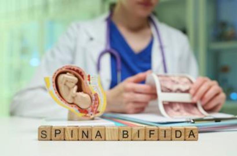 Giornata spina bifida, da prevenzione a nuove tecniche chirurgiche