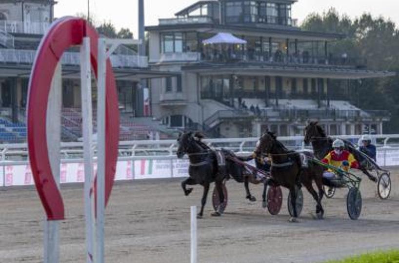 Ippica, Stoppini (Snai): "L''Orsi Mangelli' torna a Milano, a San Siro il grande trotto"