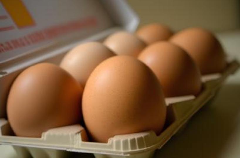 Uova biologiche o allevate a terra: ecco i consigli per orientarsi tra etichette