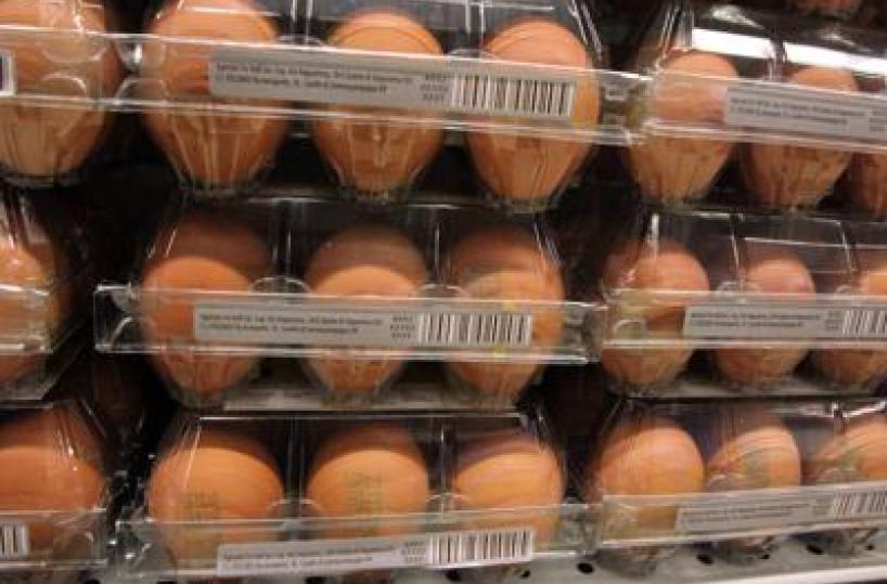 Quanti errori in cucina, dal frigo all'igiene: il decalogo dell'Iss per pasti sicuri