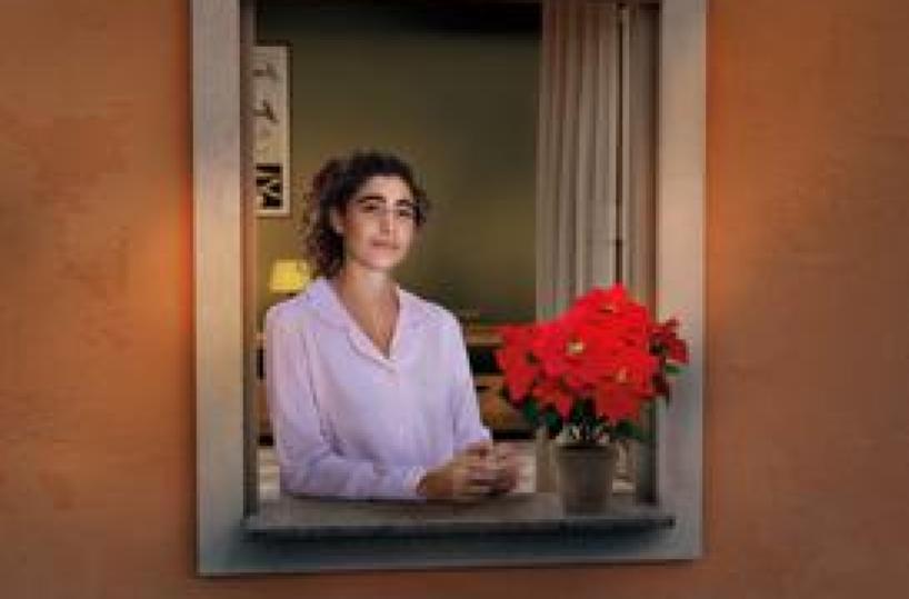 Lotta alle leucemie, tornano le stelle di Natale Ail per la ricerca