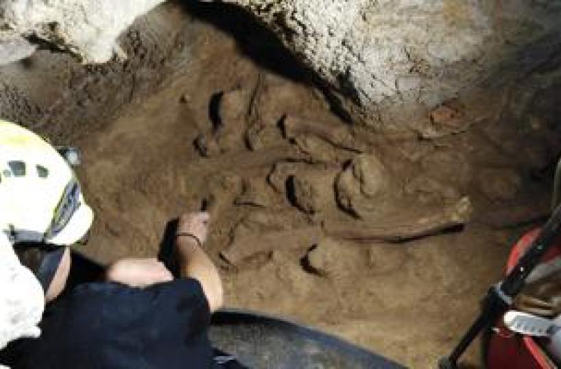 Muciv inaugura a Roma Laboratorio Neanderthal, nuova area espositiva
