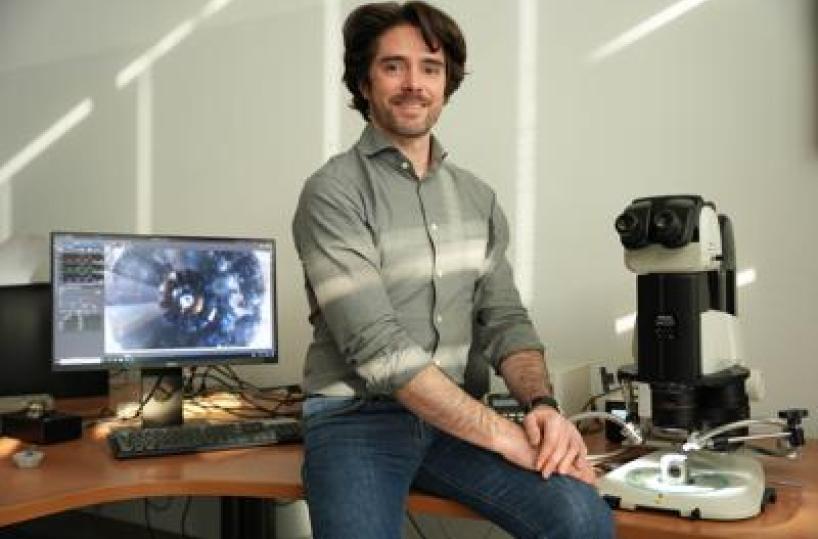 Milano-Bicocca, Erc Consolidator Grant da 3 mln per studiare ruolo zolfo in evoluzione Terra