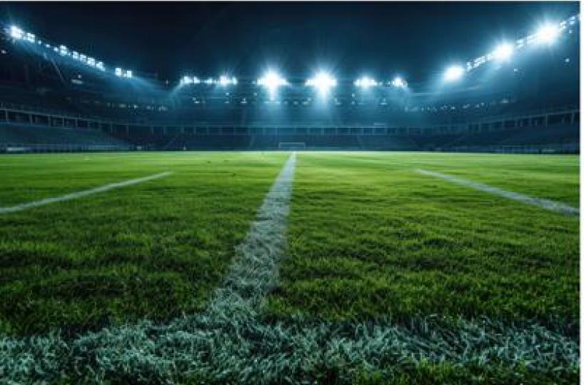 Serie A, gli squalificati della 15a giornata