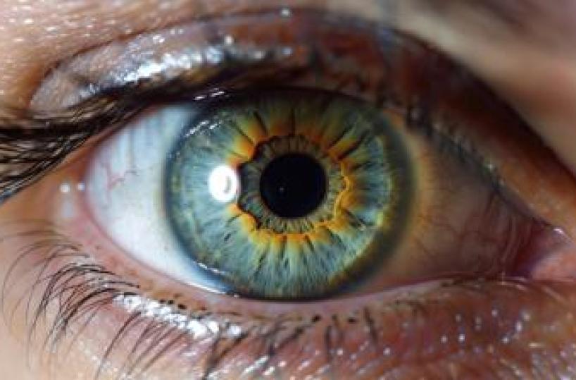 Farmaci, aflibercept 8 mg: nuovi dati confermano efficacia e sostenibilità in maculopatie