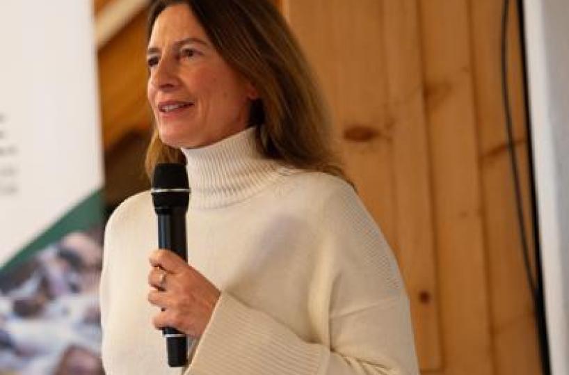 Ambiente, dalle foreste ai ghiacciai: studio sui servizi ecosistemici dell'Alta Valtellina