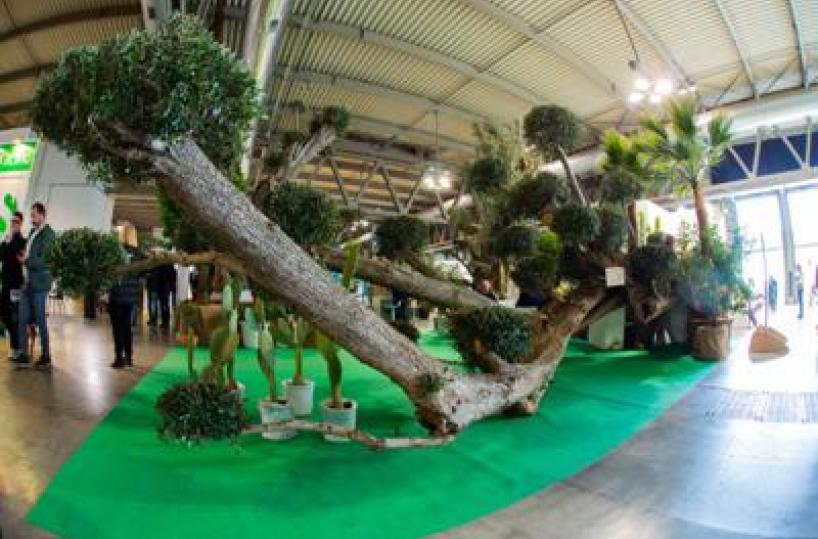 Myplant&Garden, X edizione dal 18 al 20 febbraio 2026 a Fiera Milano Rho