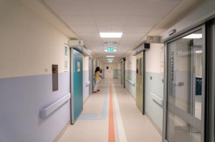 Candida auris, studio svela possibile tallone d'achille del fungo killer che spaventa ospedali