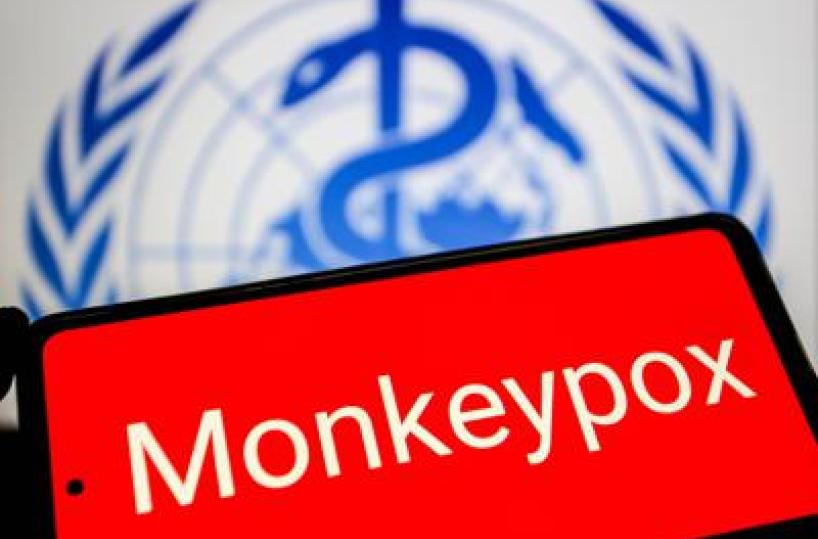 Vaiolo delle scimmie, Oms: "Mpox continua a circolare, a novembre 2.150 casi e 5 morti"