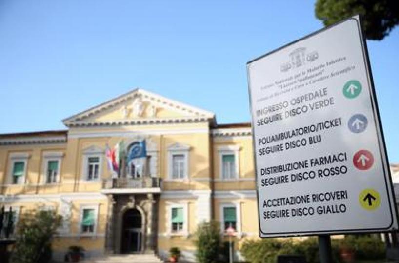 Sorveglianza e prevenzione della Dengue, dallo Spallanzani aggiornamento linee guida