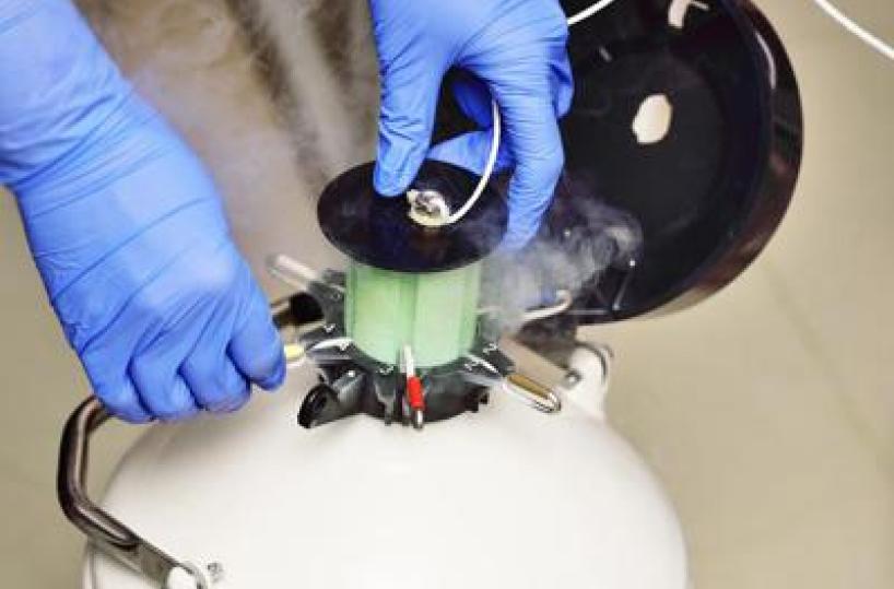 Cancro seno, 1 donna su 4 sceglie la crioconservazione degli ovociti