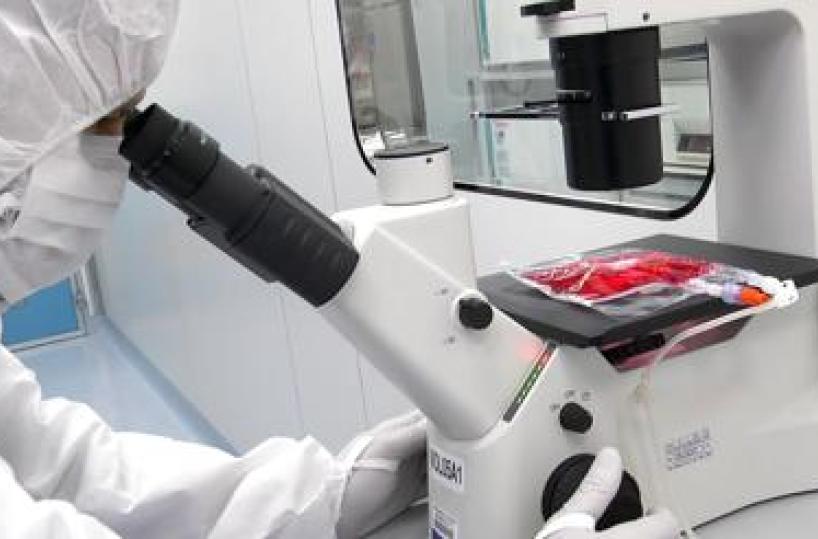 Cellule Car-T e malattie autoimmuni, studio del Bambino Ges&ugrave; conferma l'efficacia