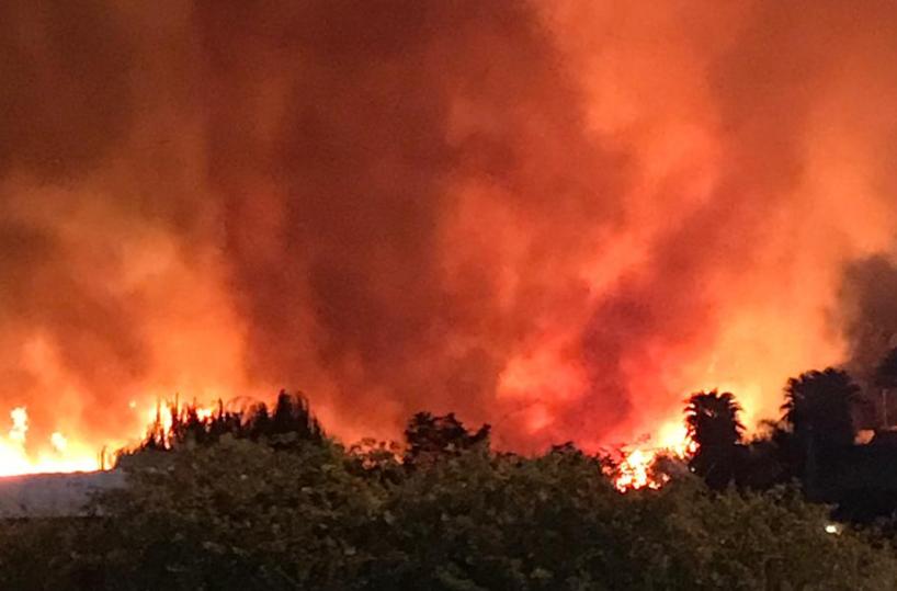 Dopo gli incendi in Capitanata i controlli per contrastare il fenomeno: un arresto e 11 denunce