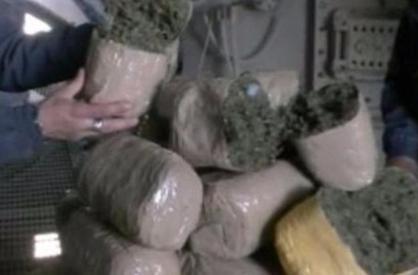 Droga, altro maxisequestrosul Gargano: 4 tonnellate