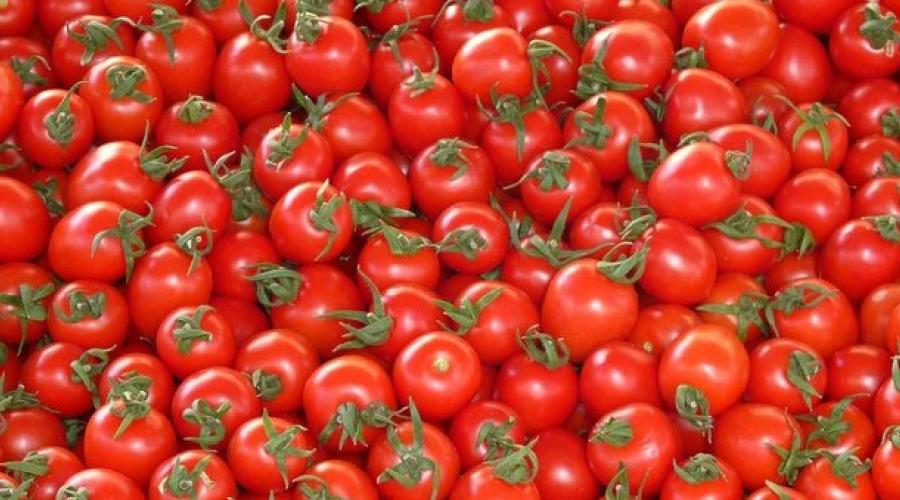 &laquo;Meno disponibilit&agrave; e prezzi spaventosi&raquo;, l&rsquo;emergenza fertilizzanti non d&agrave; tregua