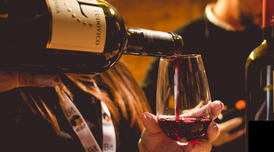 La festa di San Martino fa nascere il vino novello