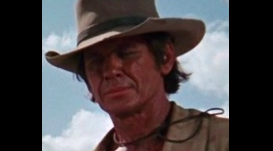 A Natale ritroviamo la lentezza tanto Armonica alla fine arriva