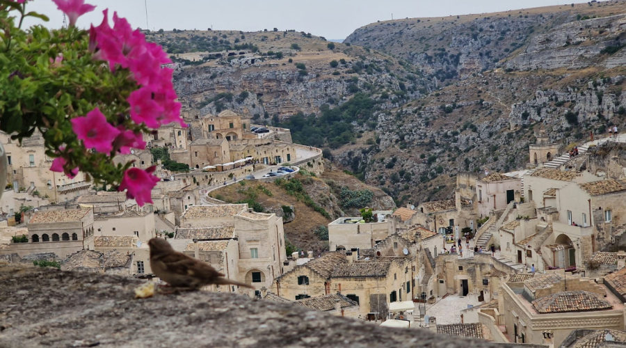 Matera verso la gentilezza come grammatica civile