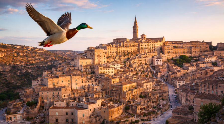 Dal bue all&rsquo;anatra zoppa, allegoria di una citt&agrave; in bilico