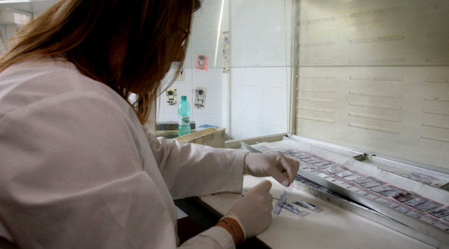 Basilicata, boom di adesioni per i controlli alla prostata: in 7mila per la prevenzione