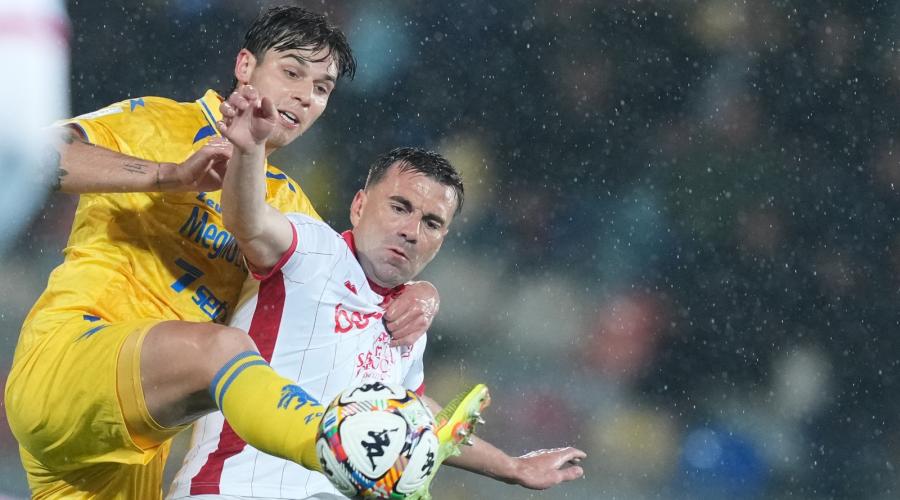 Frosinone-Bari: 1-1