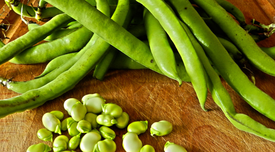 Benvenuta Primavera con i suoi mille sapori