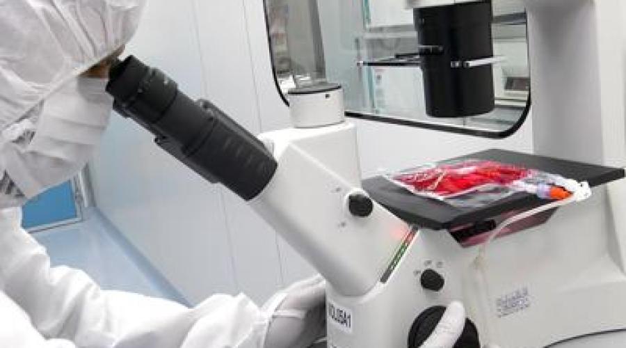 Cellule Car-T e malattie autoimmuni, studio del Bambino Ges&ugrave; conferma l'efficacia