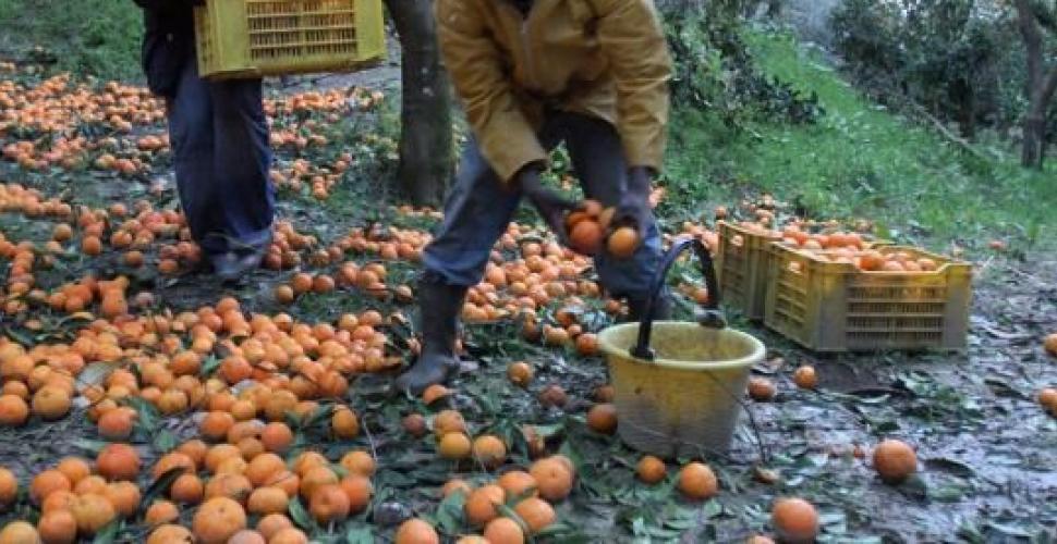 Le mani della mafia dell’Est  sul «business» delle badanti