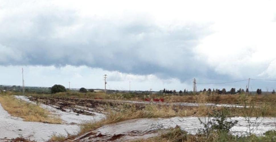 Terza tromba d'aria sul Gargano nel giro di 7 giorni: alberi spezzati e tetti divelti