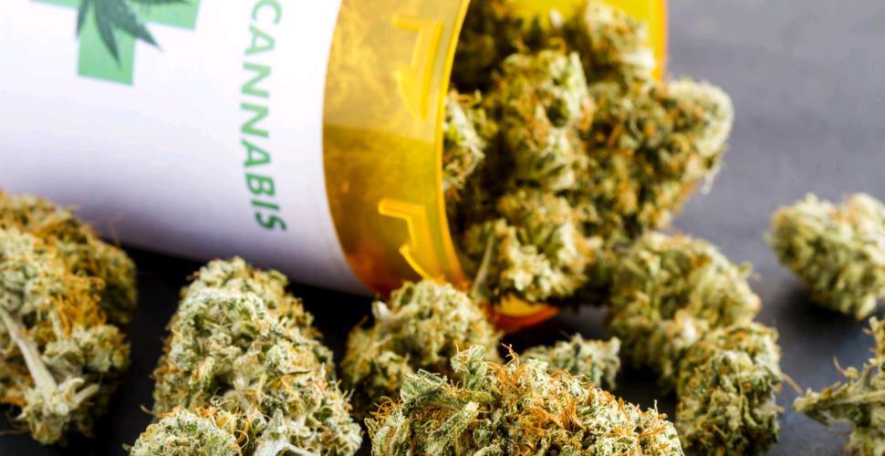 Cannabis terapeutica