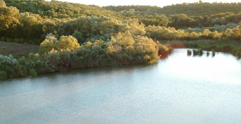 Invasi già semivuoti: ecco la siccità, allarme in Puglia