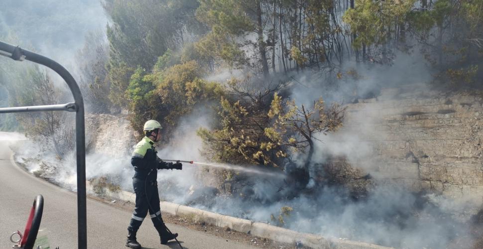 Il Gargano in fiamme, a fuoco 20 ettari di macchia mediterranea