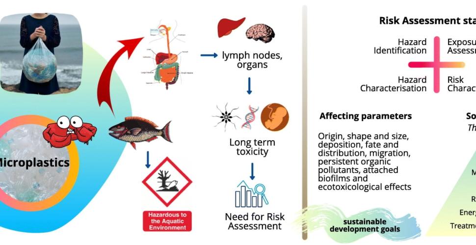 «L’invasione delle microplastiche nell'Adriatico»: le più colpite le cozze 