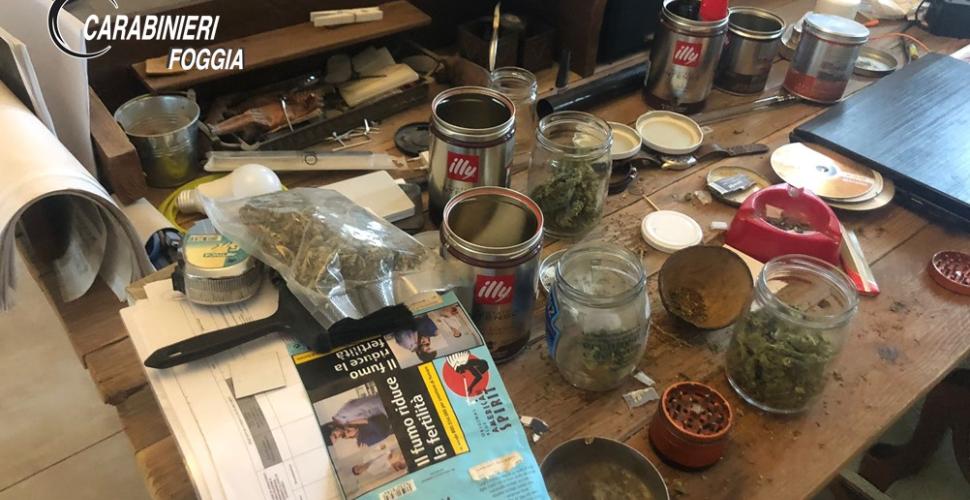 Foggia, scoperta grande piantagione di marijuana: 56enne arrestato, in casa droga pronta per lo spaccio