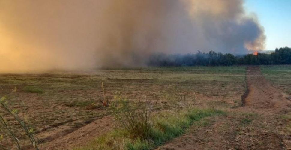 Brindisi, a fuoco alberi e canneto alle Saline: lunghe colonne di fumo