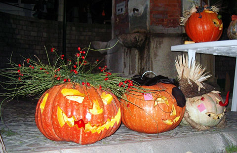 Zucca - Fucacoste Orsara di Puglia