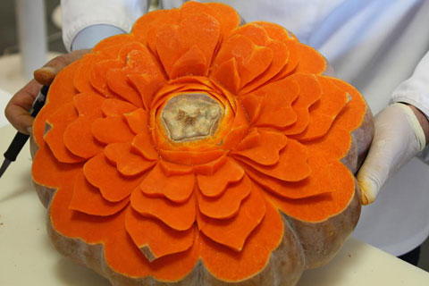Zucca intagliata - Fucacoste Orsara di Puglia