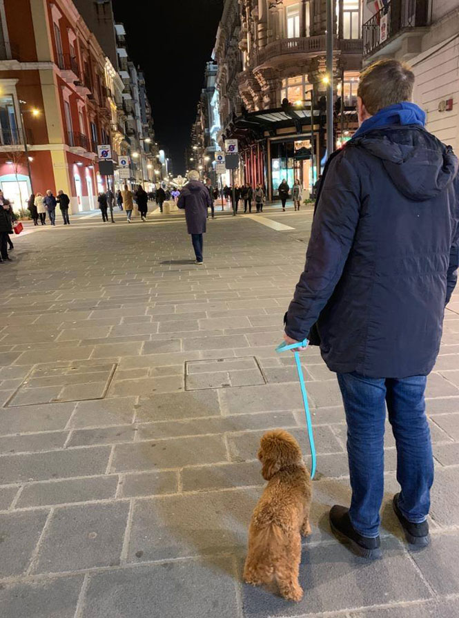 Ninodangelo, il cucciolo de «Il mio viaggio a New York» sbarca a Bari: la foto in via Sparano