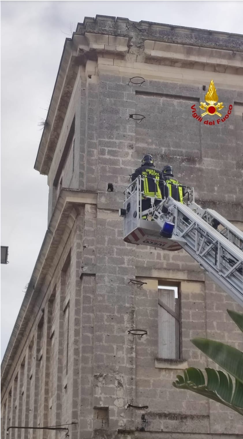 https://www.lagazzettadelmezzogiorno.it/upload/2022_04_08/adcbc87d-fa6d-46a6-aca6-1e35d203561c-1649427261903.jpg